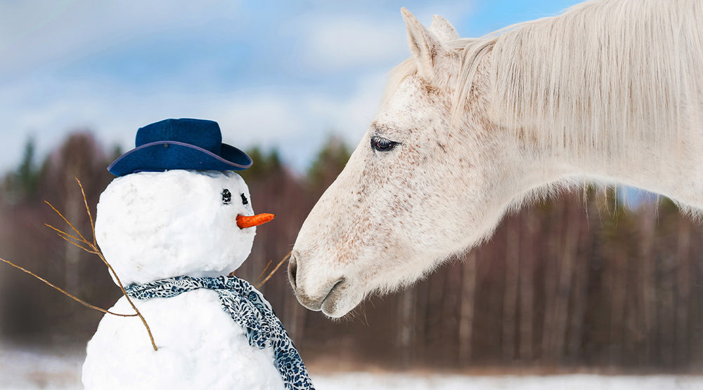 Stärken Sie das Immunsystem Ihres Pferdes mit natürlichen Kräutern. 