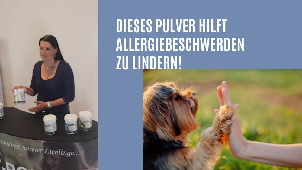 
                  
                    ALLERGO Plus – Kräuterpulver zur Unterstützung bei Allergie-Symtome
                  
                