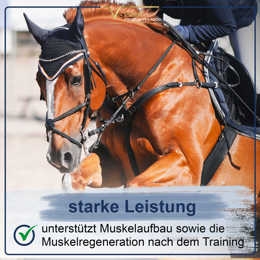
                  
                    Die CHILL OUT Vitties mit Hanf für Pferde unterstützen den Muskelaufbau sowie die Muskelregeneration nach dem Training.
                  
                
