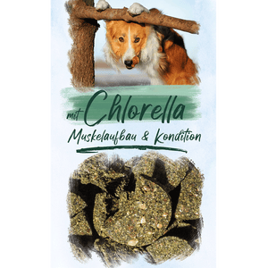 
                  
                    Die Chlorella Alge unterstützt den Muskelaufbau beim Hund und beschleunigt Ausheilungen nach Verletzungen. 
                  
                
