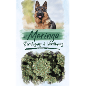 
                  
                    MORIGNA & SPIRULINA Alge für den Hund. Premium Vitties von V-POINT als Futterzusatz und Belohnungssnack.
                  
                